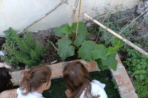 https://paramythoupoli-aigio.gr/wp-content/uploads/2025/05/IMG20250527122103-scaled-300x200.jpg