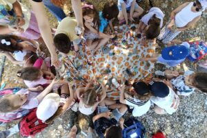 https://paramythoupoli-aigio.gr/wp-content/uploads/2025/06/IMG20250606110133-300x200.jpg