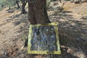 https://paramythoupoli-aigio.gr/wp-content/uploads/2026/05/εικόνα_Viber_2026-05-27_11-55-57-746-300x200.jpg